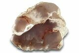 Agate Replaced Petrified Wood Limb Cast - Nevada #305080-1